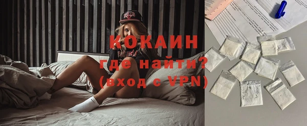 дмт Каменка