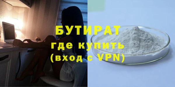дмт Каменка