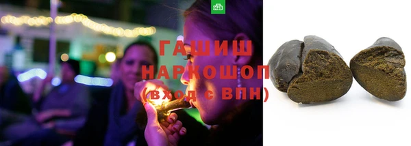 дмт Каменка