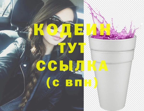 дмт Каменка