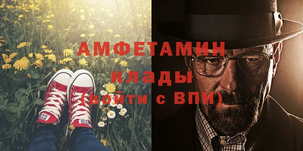 дмт Каменка
