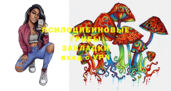 spice Каменногорск