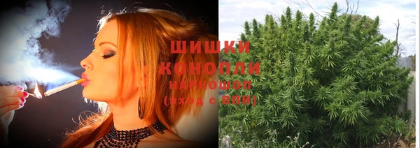 spice Каменногорск