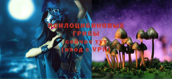мет Инта