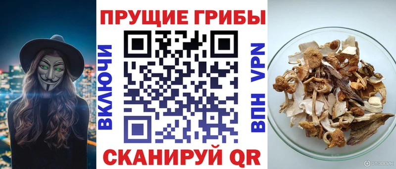 Галлюциногенные грибы Magic Shrooms  Купить  Луховицы 